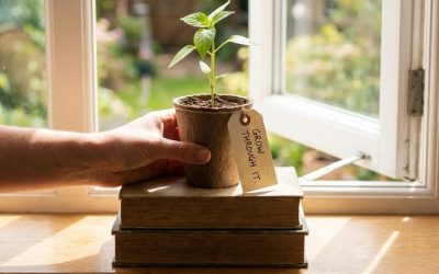 Unlocking Your Potential: Focus On These Areas of Personal Growth for a More Fulfilling Life…